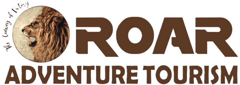 Dubai Desert Safari